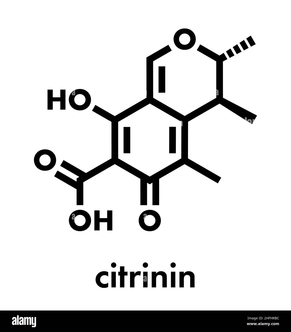 Citrinin mycotoxin molecule. Skeletal formula. Stock Vector