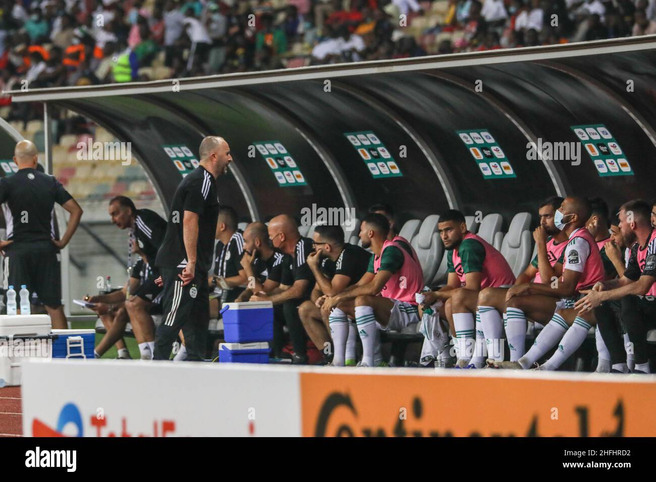 Douala, CAMEROON - JANUARY 16: coach Djamel Belmadi of Algeria during the Africa Cup of Nations group E match between Algeria and Equatorial Guinea at Stade de Japoma on January 16 2022 in Douala, Cameroon. (Photo by SF) Credit: Sebo47/Alamy Live News Stock Photo