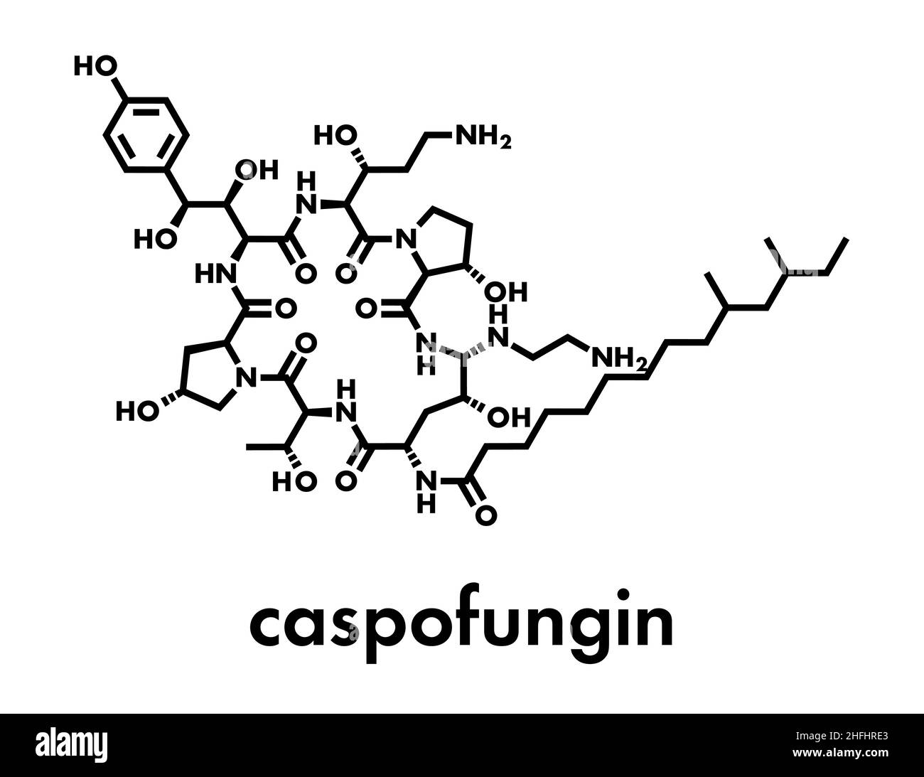 Caspofungin antifungal drug molecule. Skeletal formula. Stock Vector