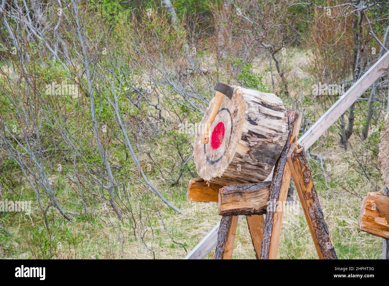 Axe flying towards the target during Axe throw game Stock Photo Alamy