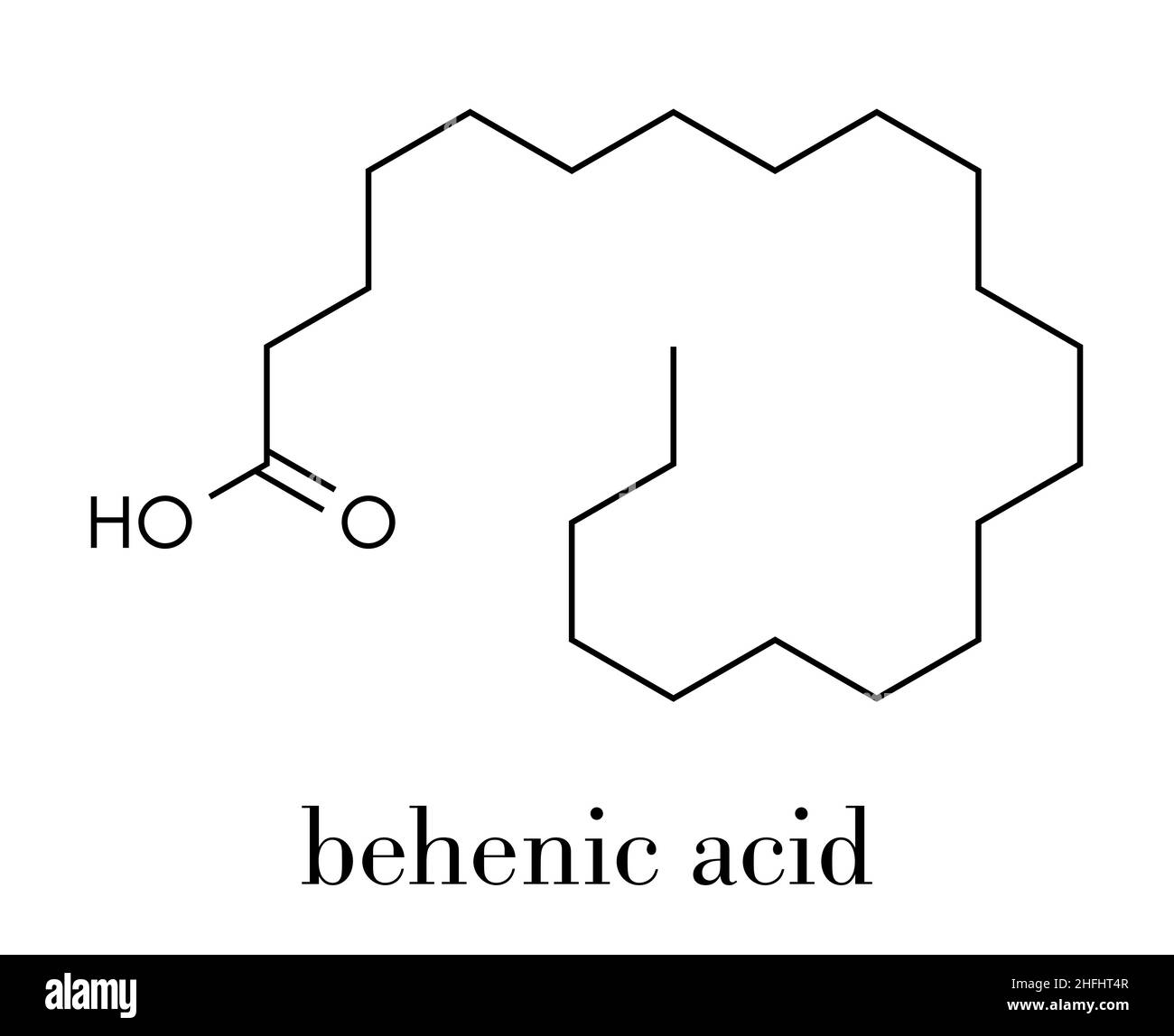 Behenic acid (docosanoic acid) saturated fatty acid molecule. Skeletal
