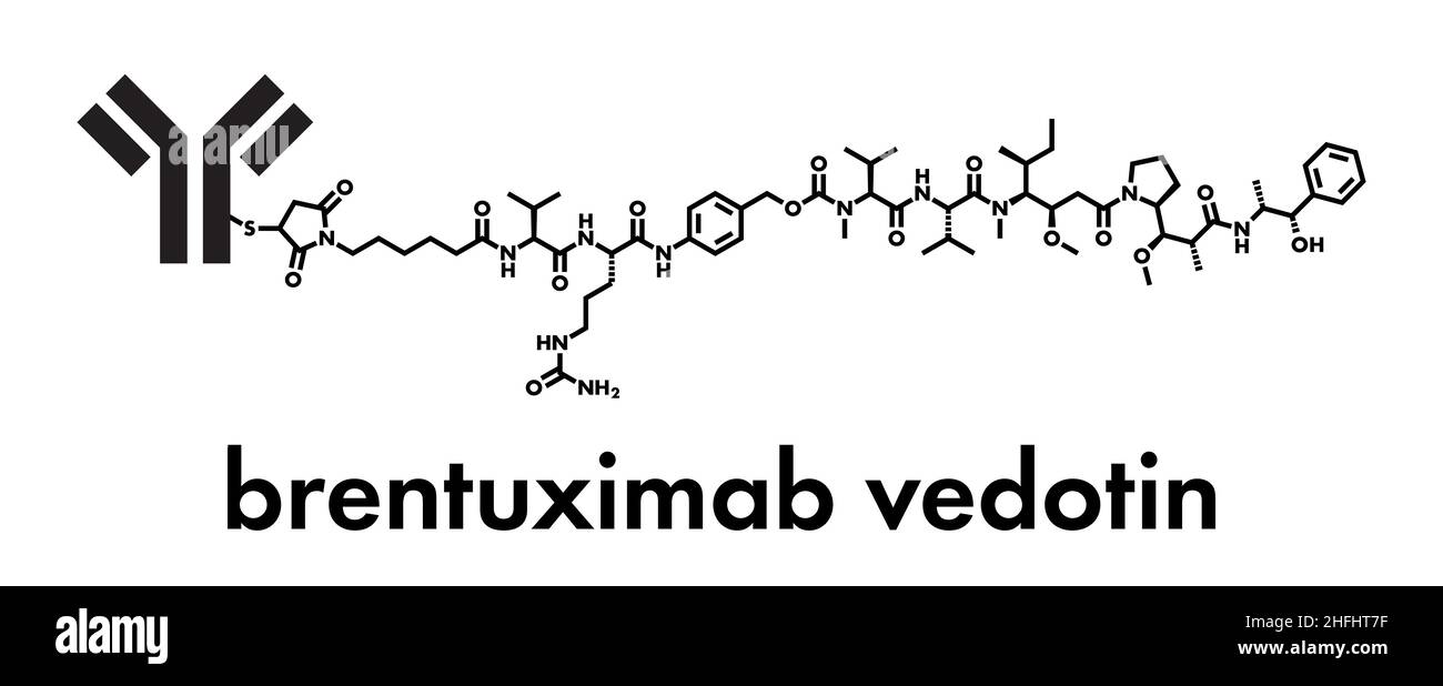 Brentuximab vedotin antibody-drug conjugate molecule. Consists of ...
