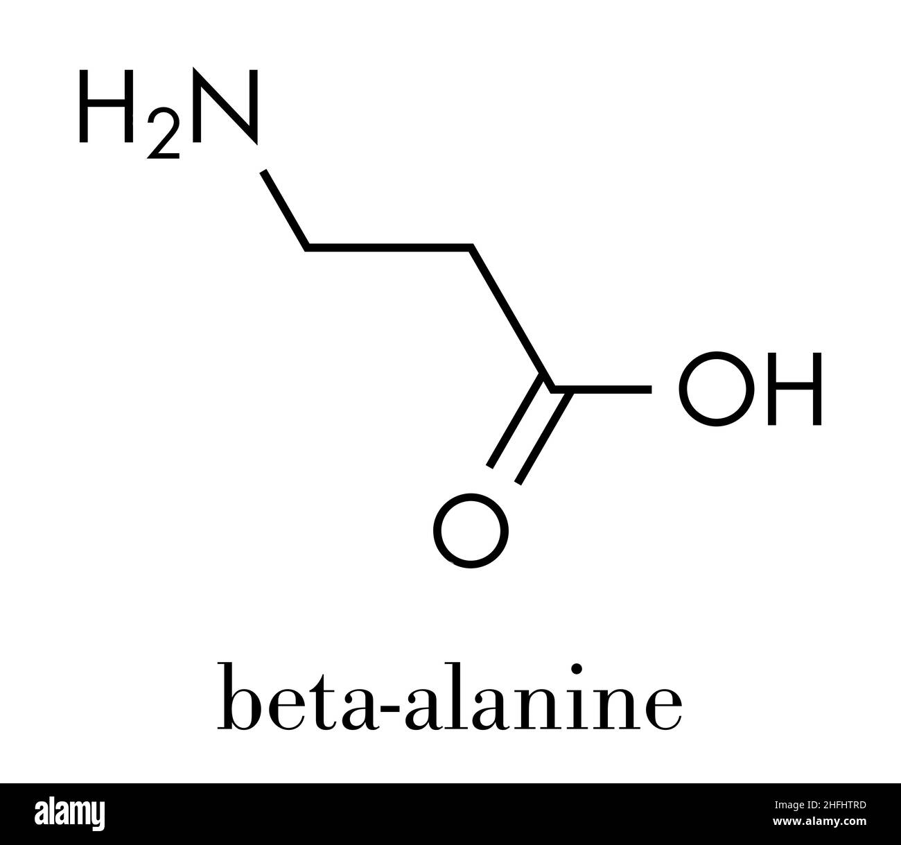 Beta-alanine molecule. Naturally occurring beta amino acid