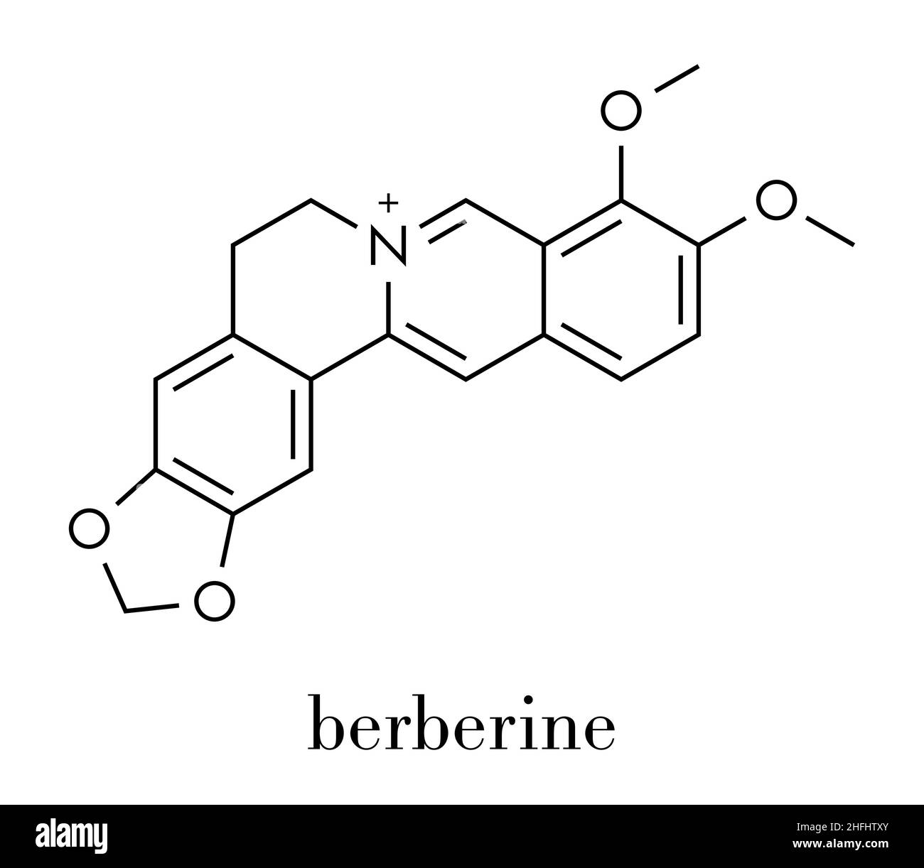 Berberine herbal medicine molecule. Skeletal formula. Stock Vector