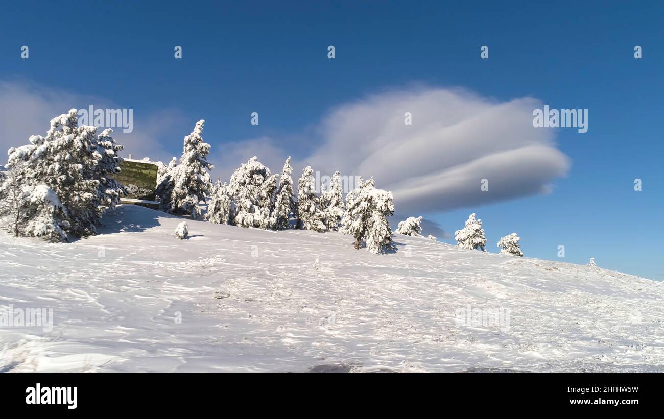 Fantastic winter landscape of high mountain and snowy forest on cloudy ...