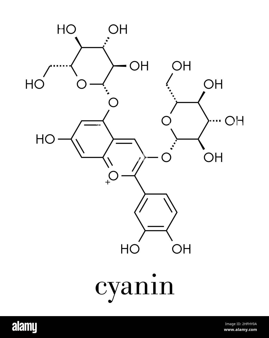 Cyanin or cyanidin-3,5-O-diglucoside molecule. Present in pomegranate juice. Skeletal formula. Stock Vector