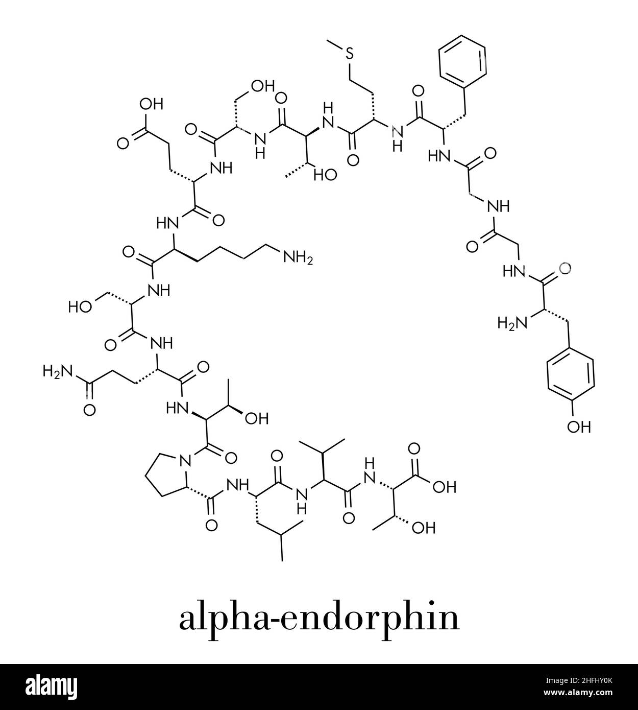 Alphaendorphin endogenous opioid peptide molecule. Skeletal formula