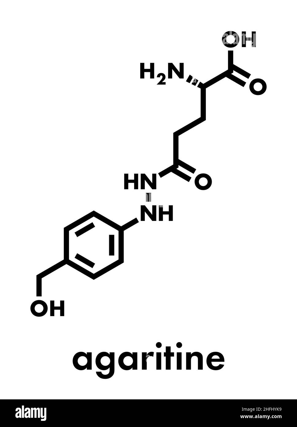 Agaritine mushroom toxin molecule. Skeletal formula Stock Vector Image