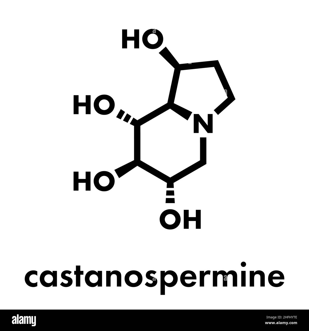 Castanospermine alkaloid molecule. Isolated from Castanospermum australe. Skeletal formula. Stock Vector