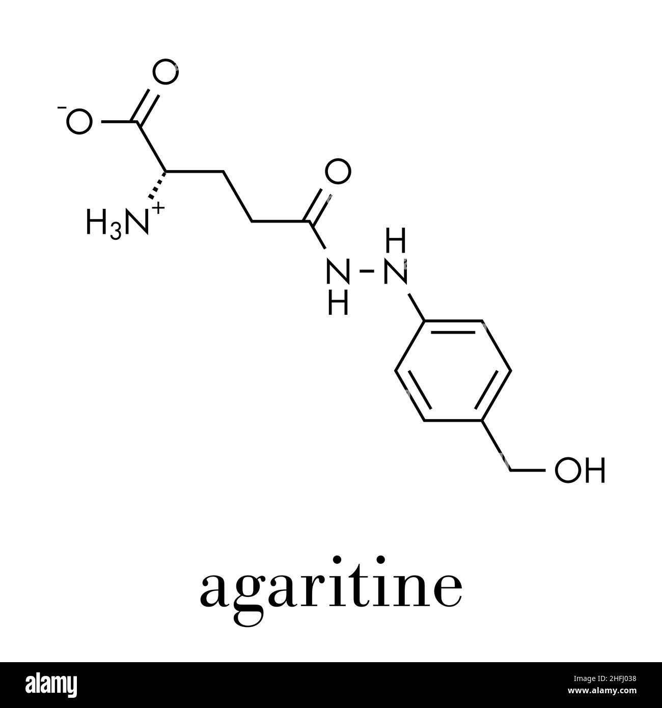 Agaritine mushroom toxin molecule. Skeletal formula Stock Vector Image