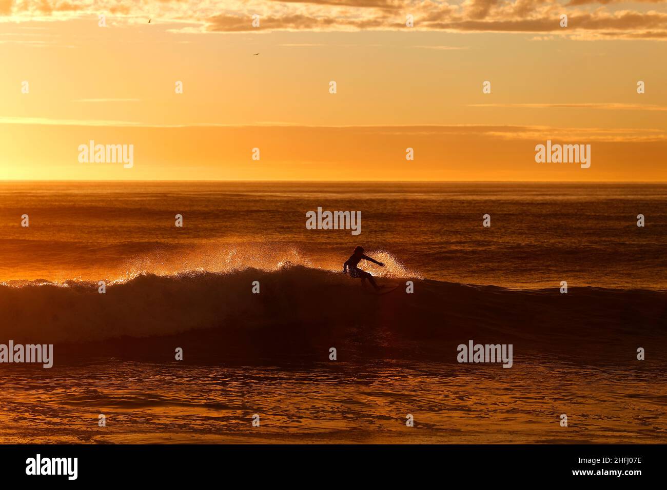 Tsunami warning san diego pacific beach