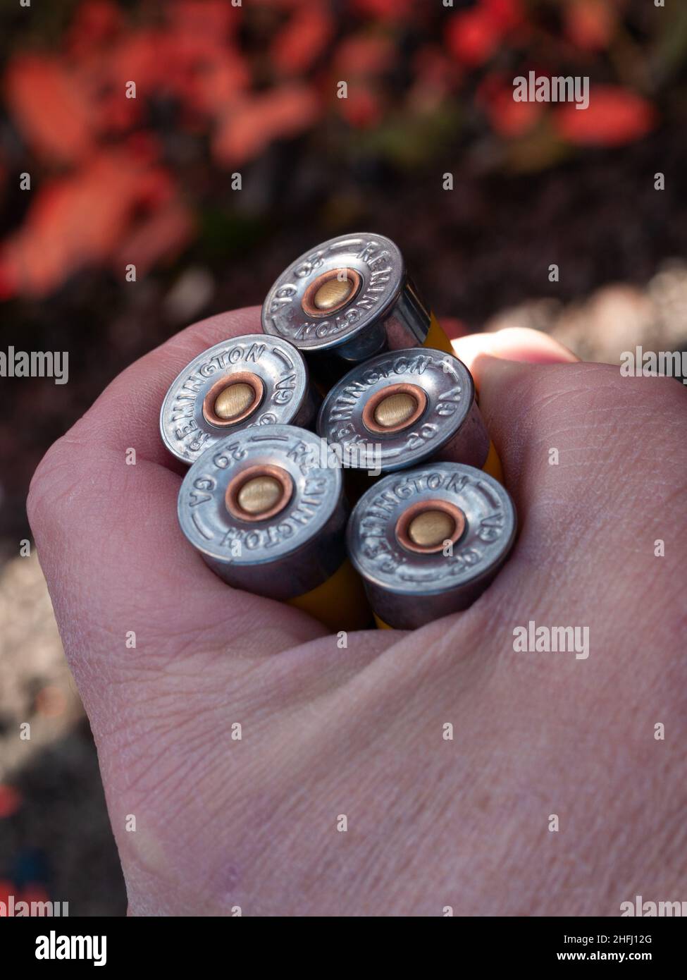 Skeet Shooting A handful of spent skeet shotgun shells Stock Photo Alamy
