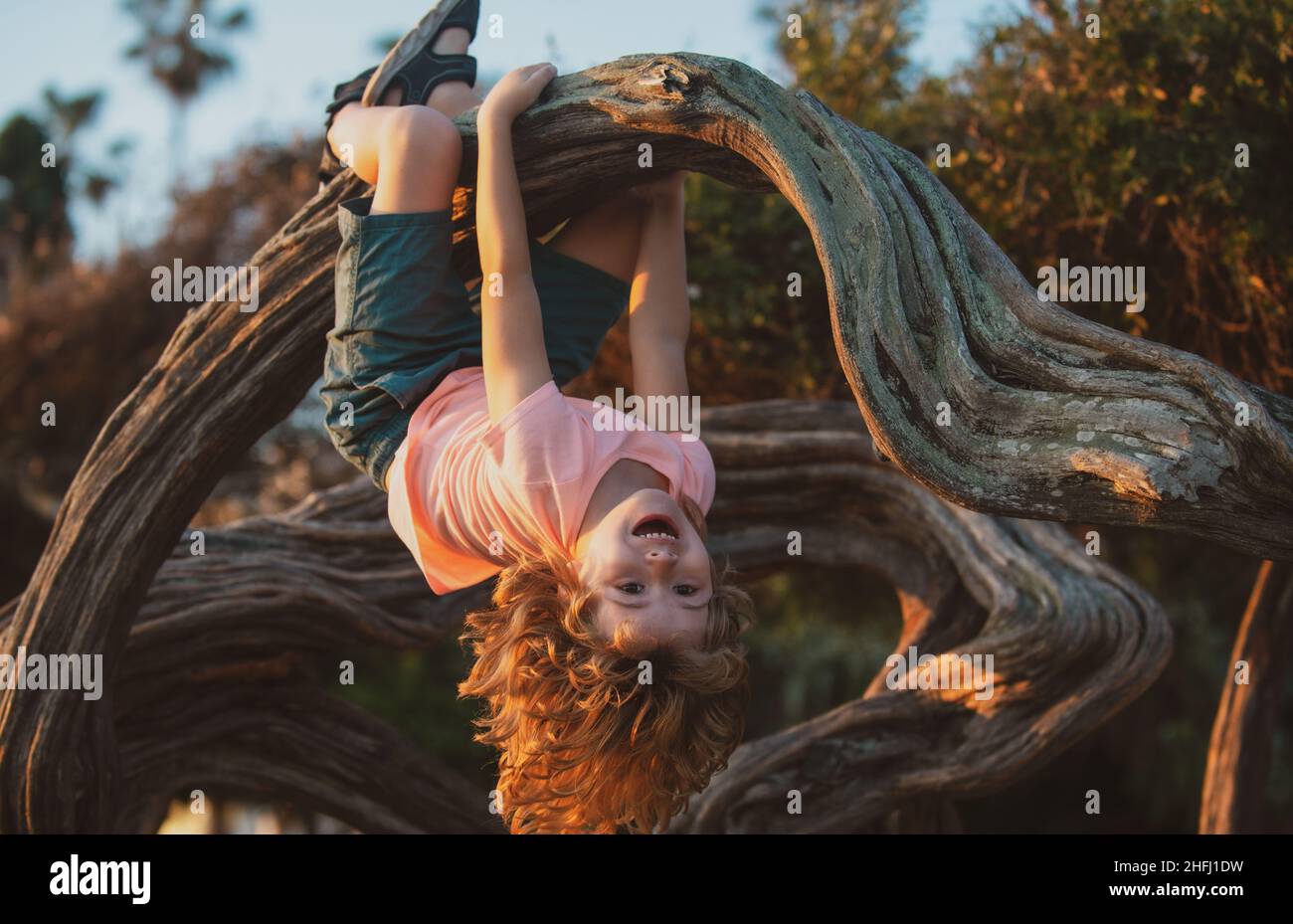 Child boy in park, climb on a tree rope. Stock Photo