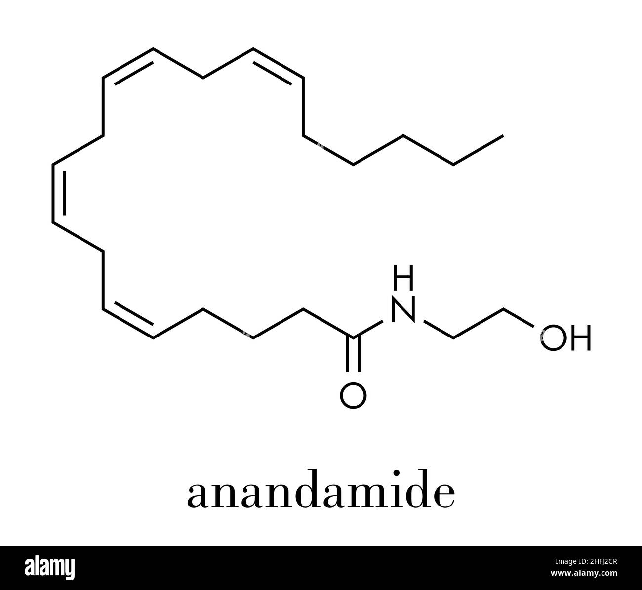 Anandamide endogenous cannabinoid neurotransmitter molecule. Skeletal formula. Stock Vector