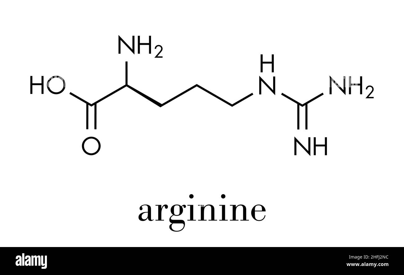 Arginine (Larginine, Arg, R) amino acid molecule. Skeletal formula