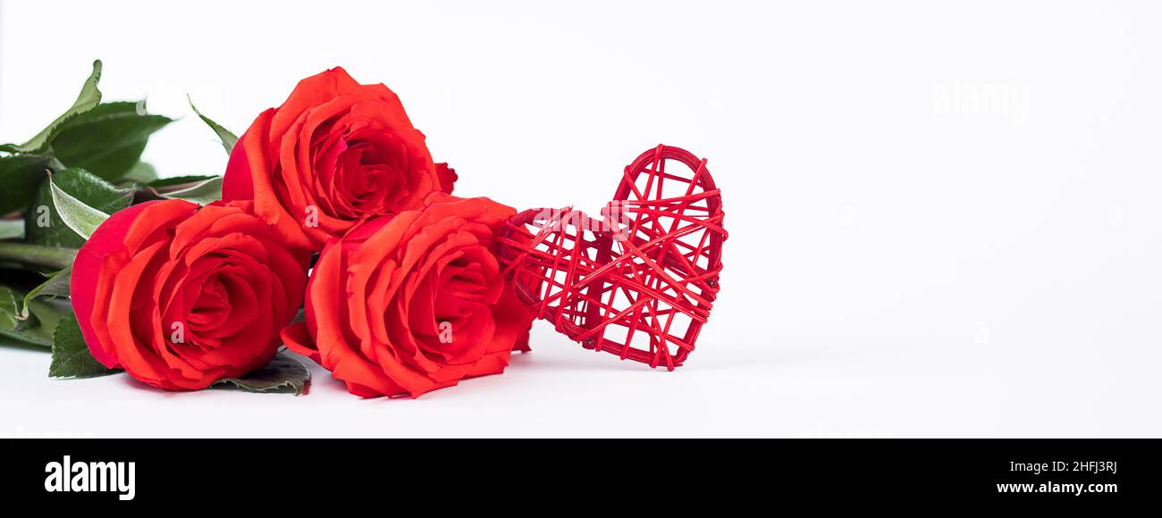 Red rose and hearts on white background. Valentine's day greeting card ...