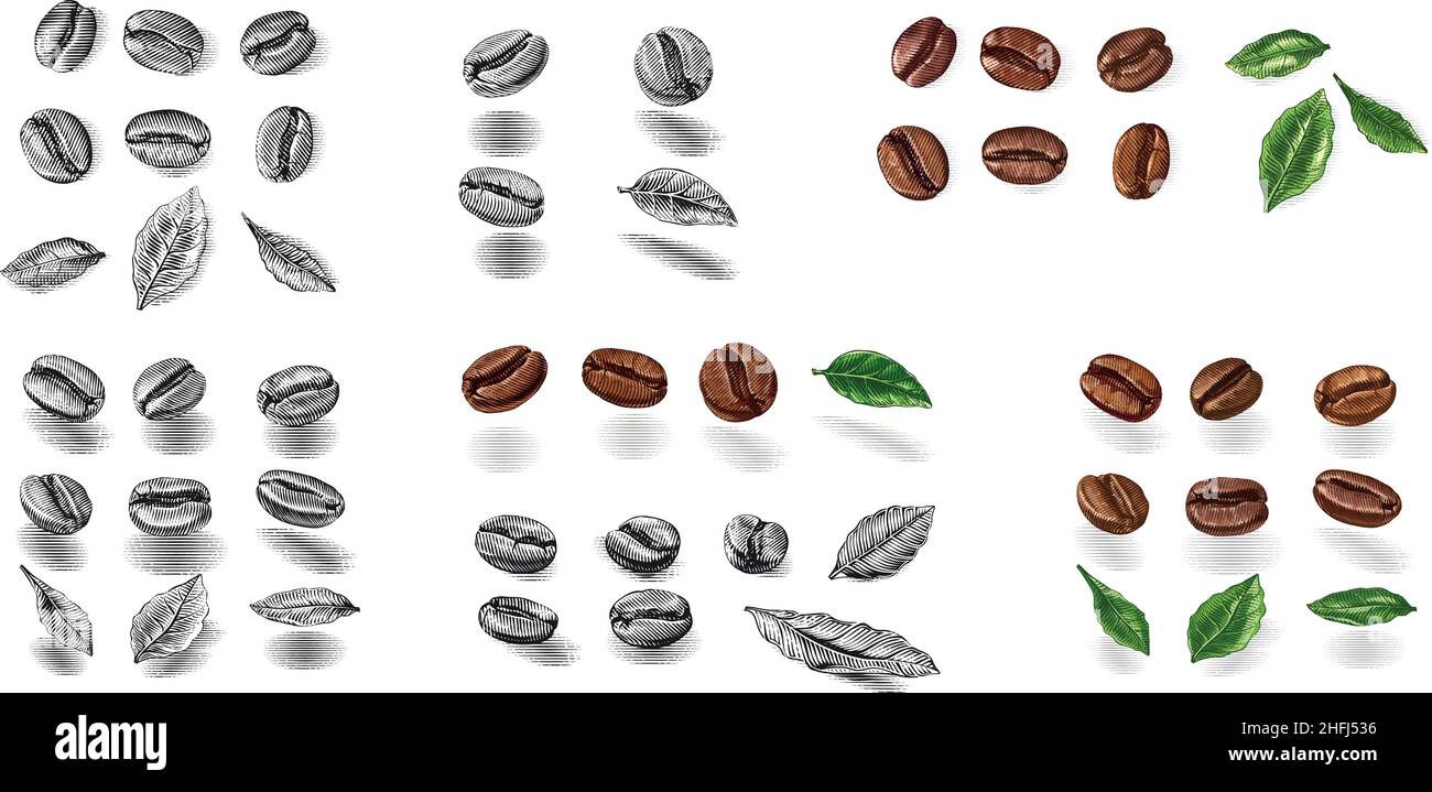 constructor coffee beans Hand drawing sketch engraving illustration ...