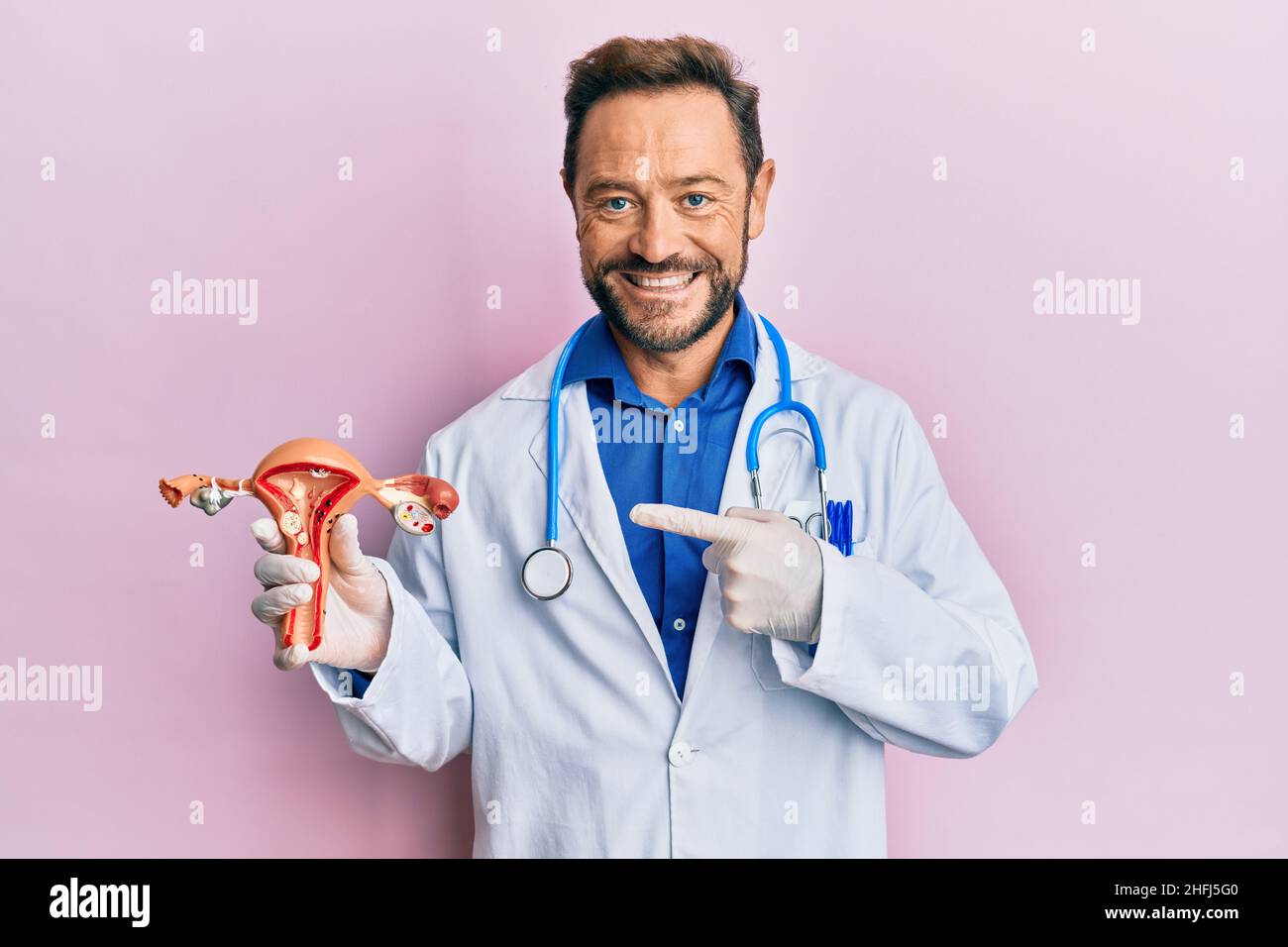 Middle age gynecologist man holding anatomical model of female genital organ smiling happy pointing with hand and finger Stock Photo