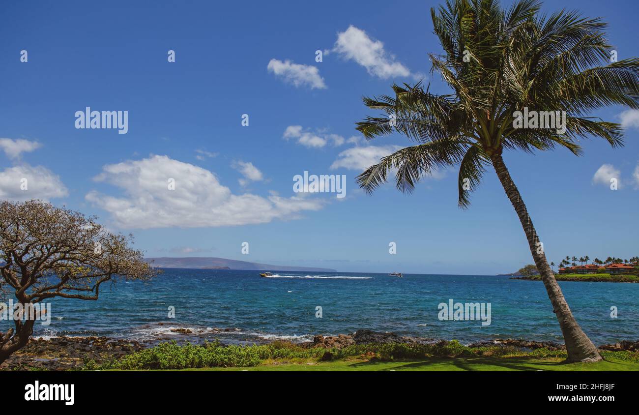 Hawaiian beach background. Enjoying paradise in Hawaii. Panorama tropical landscape of summer scenery with palm trees. Luxury travel vacation. Exotic Stock Photo