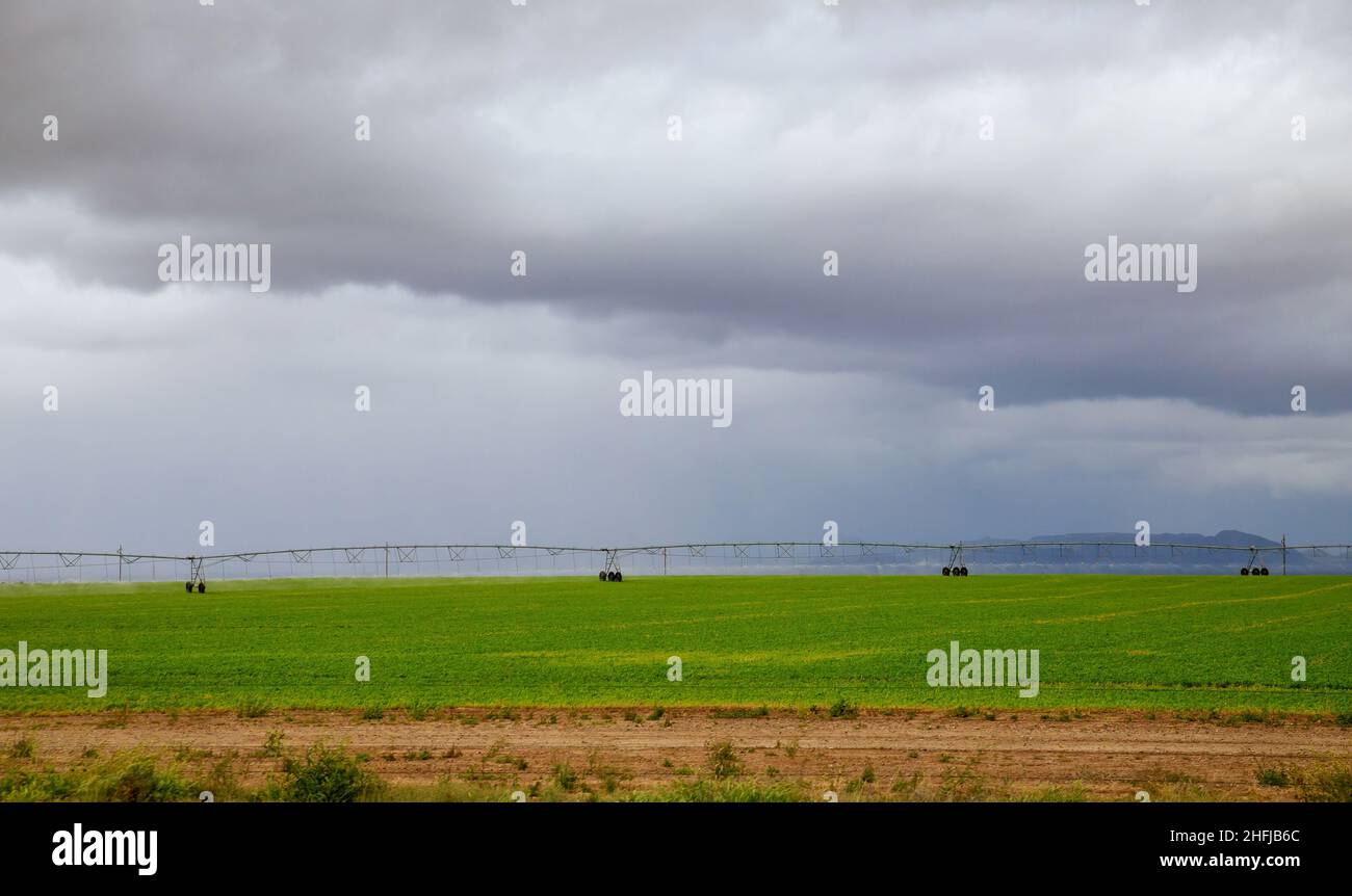 Agricultural equipment for spraying fields. self-propelled sprinkler on a farm field Stock Photo