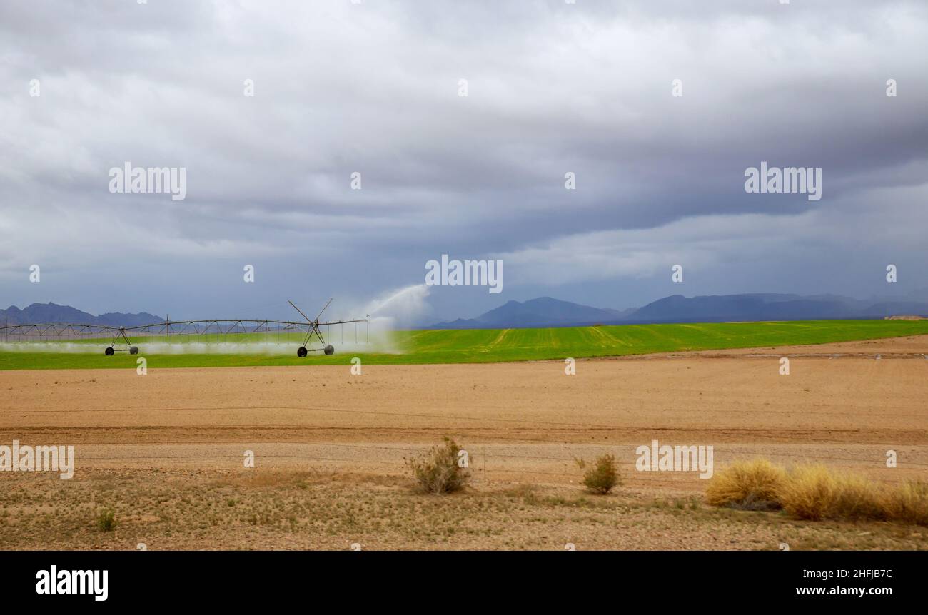 Irrigation system on agricultural land a large stream of water to irrigate the field Stock Photo