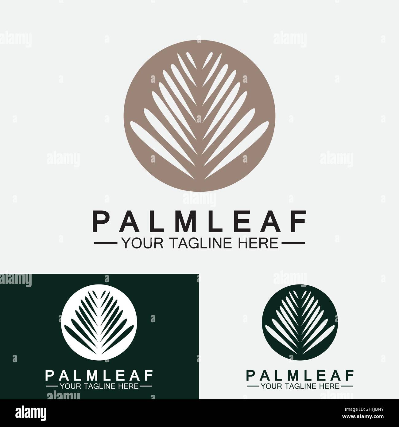 Tropical Palm leaf logo vector design template Stock Vector