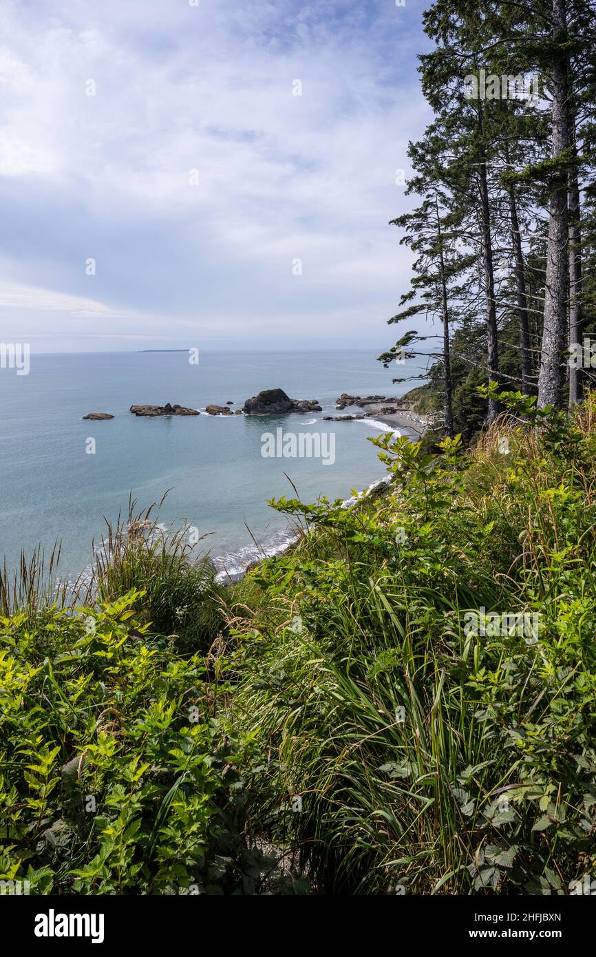 Kalaloch Beach 4 is one of Olympic National Park's best locations for