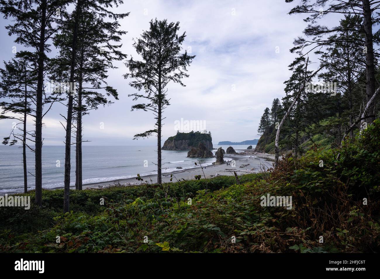Kalaloch Beach 4 is one of Olympic National Park's best locations for