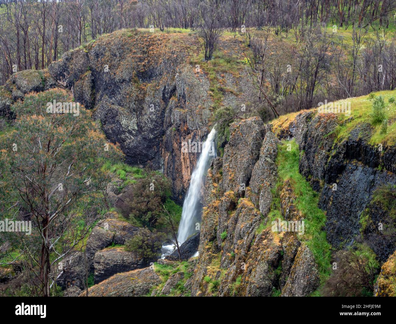 Carmichael Falls after heavy rain in Summer at Dinner Plain, Victoria, Australia Stock Photo