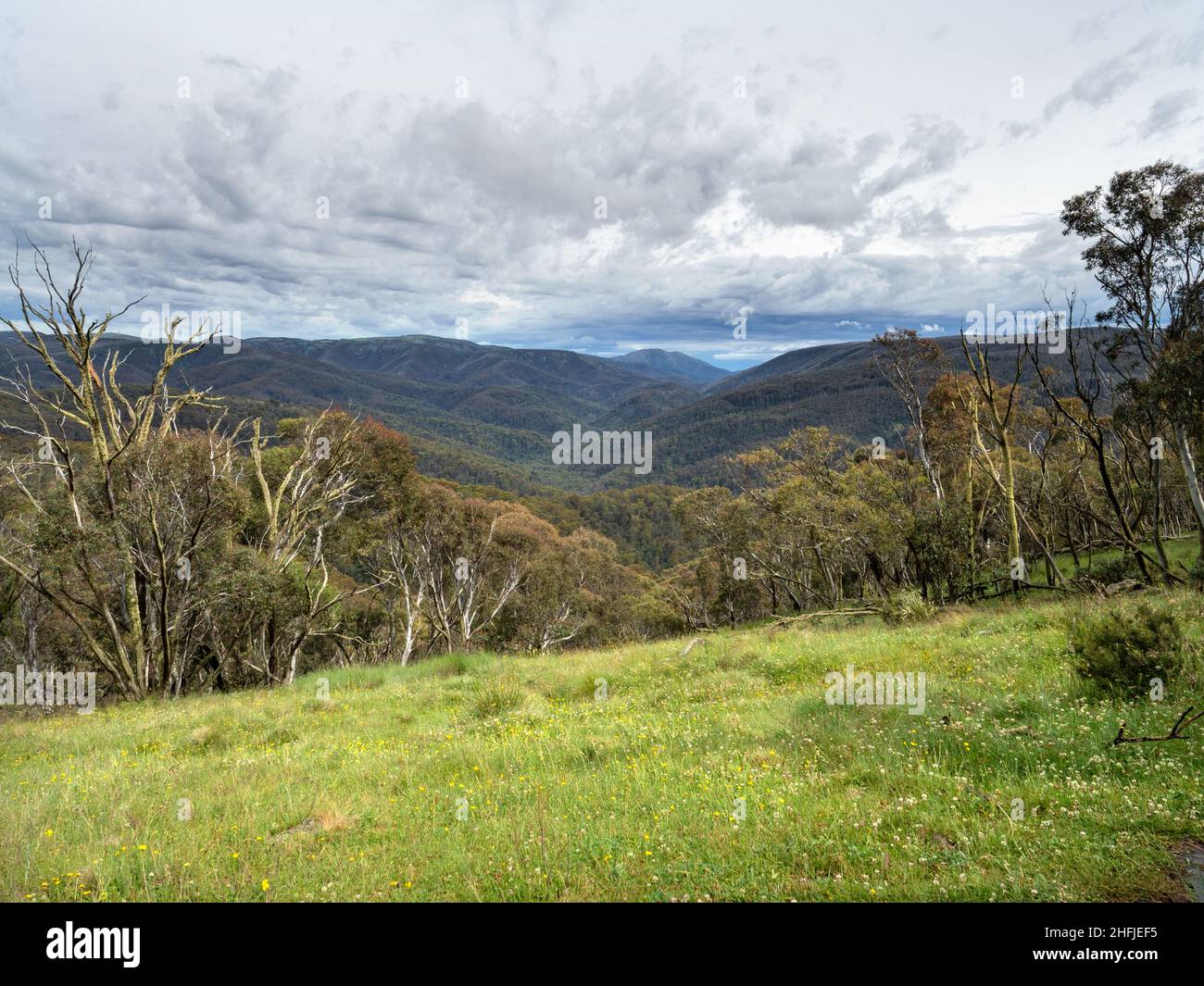 The view along the 'Room with A View' walking trail at Dinner Plain, Victoria, Australia. Stock Photo