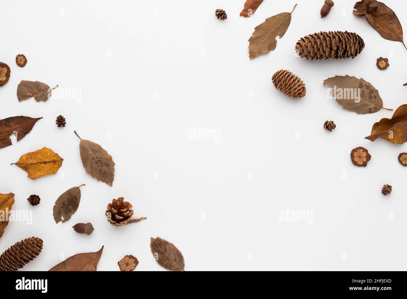 Autumn composition, dried leaves.  and pine cones on white background. Flat lay, top view with copy space Stock Photo