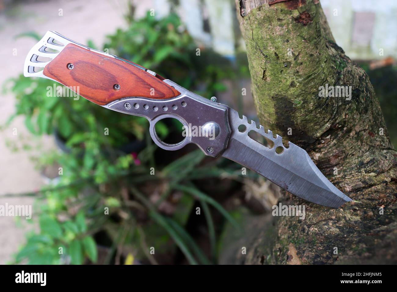 Butterfly knife folding knife camping knife Stock Photo Alamy