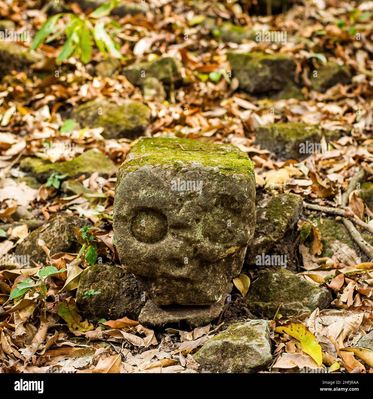 Albums 104+ Images copán is a mayan archaeological site located on the western border of Excellent