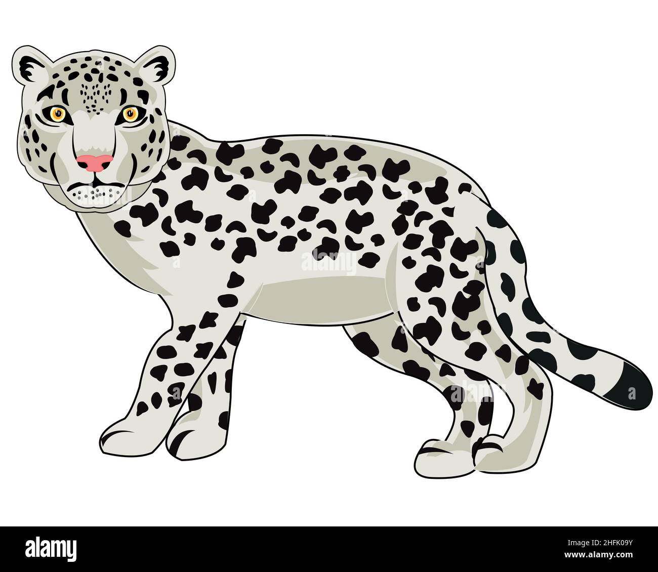 Animal snow snow leopard on white background is insulated Stock Vector