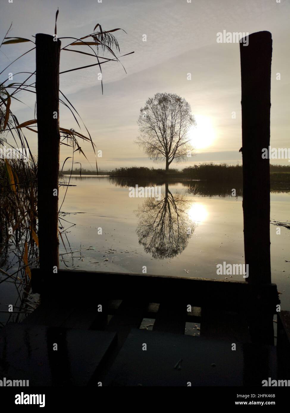 Morning fog on the sunrise lake Stock Photo