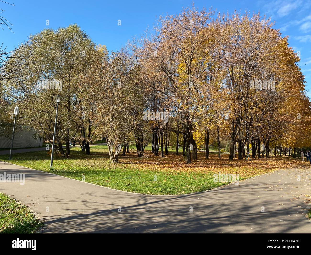 autumn in city park at dry sunny day Stock Photo - Alamy