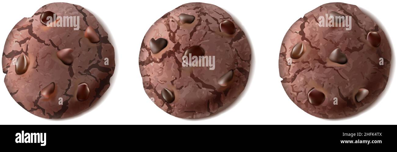 realistic vector icon. Chocolate cookies collection in front view. Stock Vector