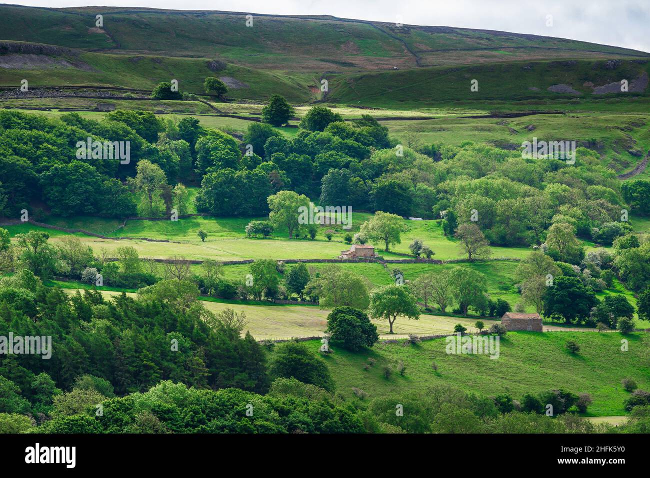 Yorkshire UK landscape, view of traditional hillside farmland in Wensleydale, Yorkshire Dales National Park, Yorkshire, England, UK Stock Photo
