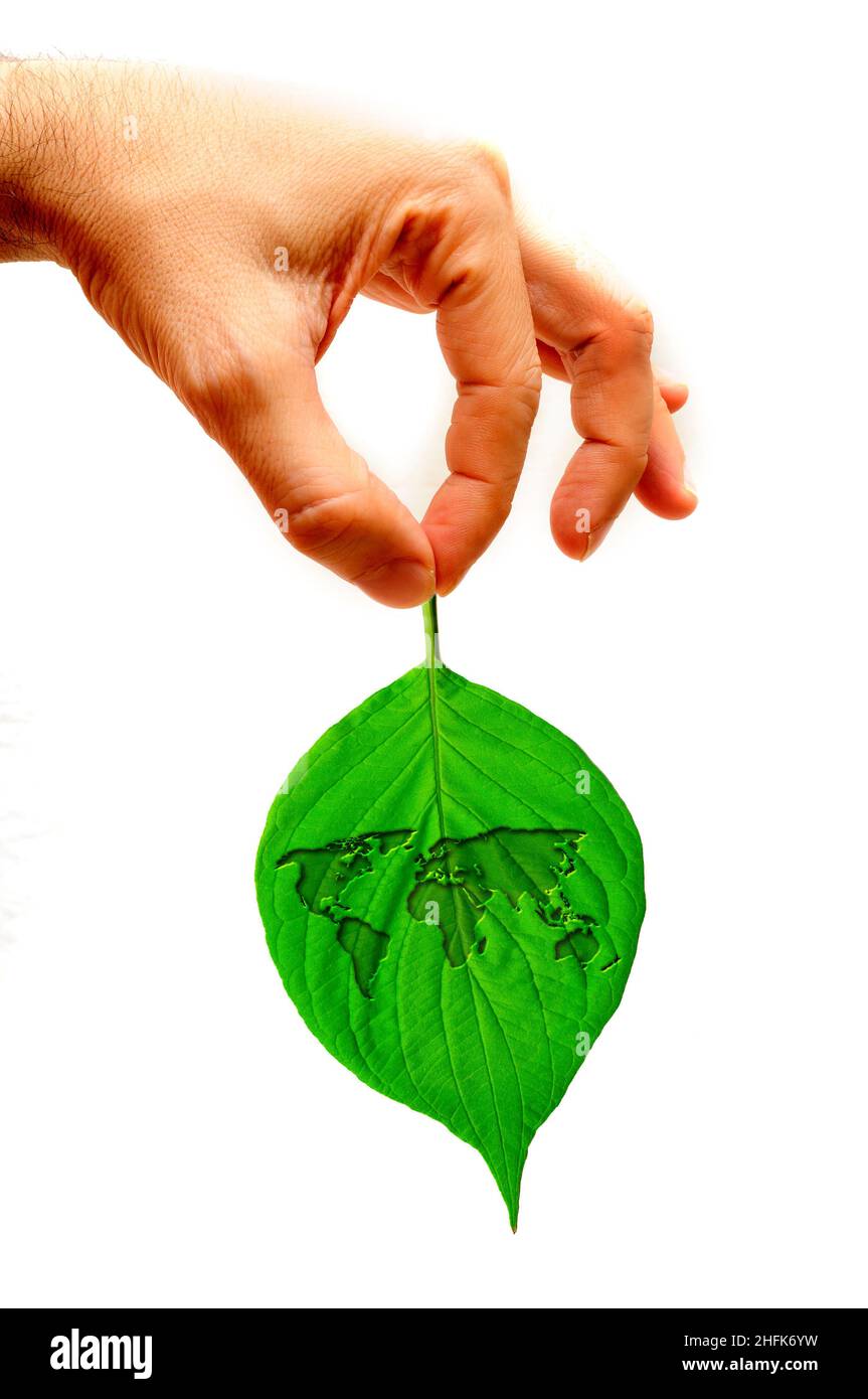 hand holding a leaf with a world map over it Stock Photo