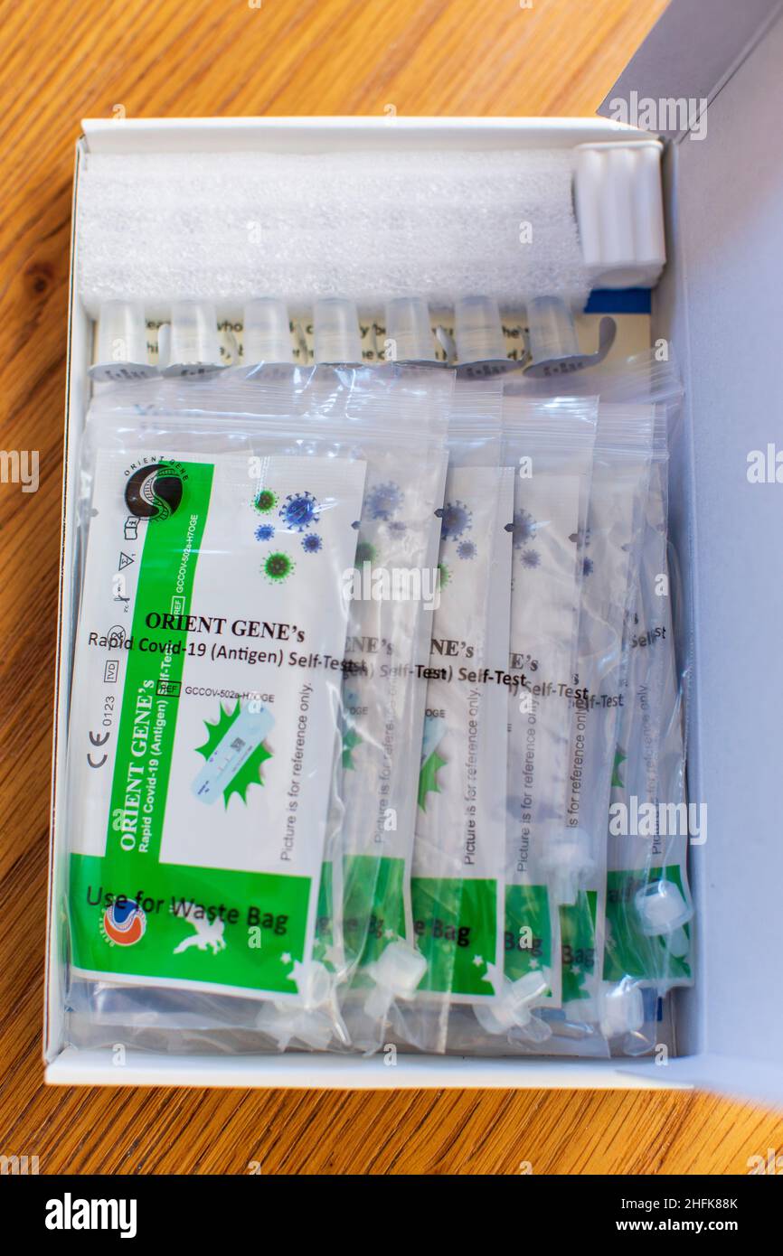Orient Genes Rapid Covid19 Antigen self test kit in a UK home. The