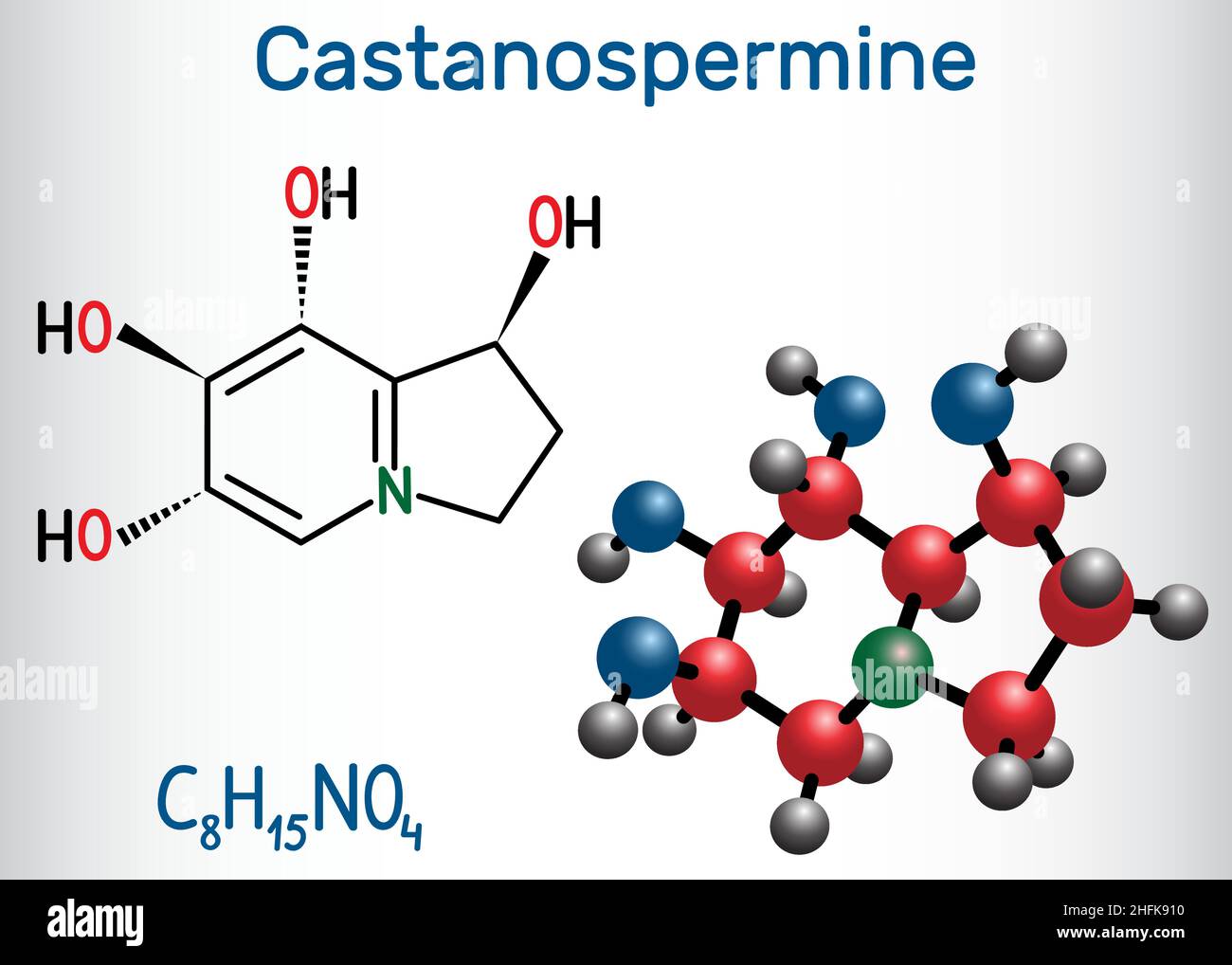 Castanospermine indolizidine alkaloid molecule. Structural chemical formula and molecule model Stock Vector