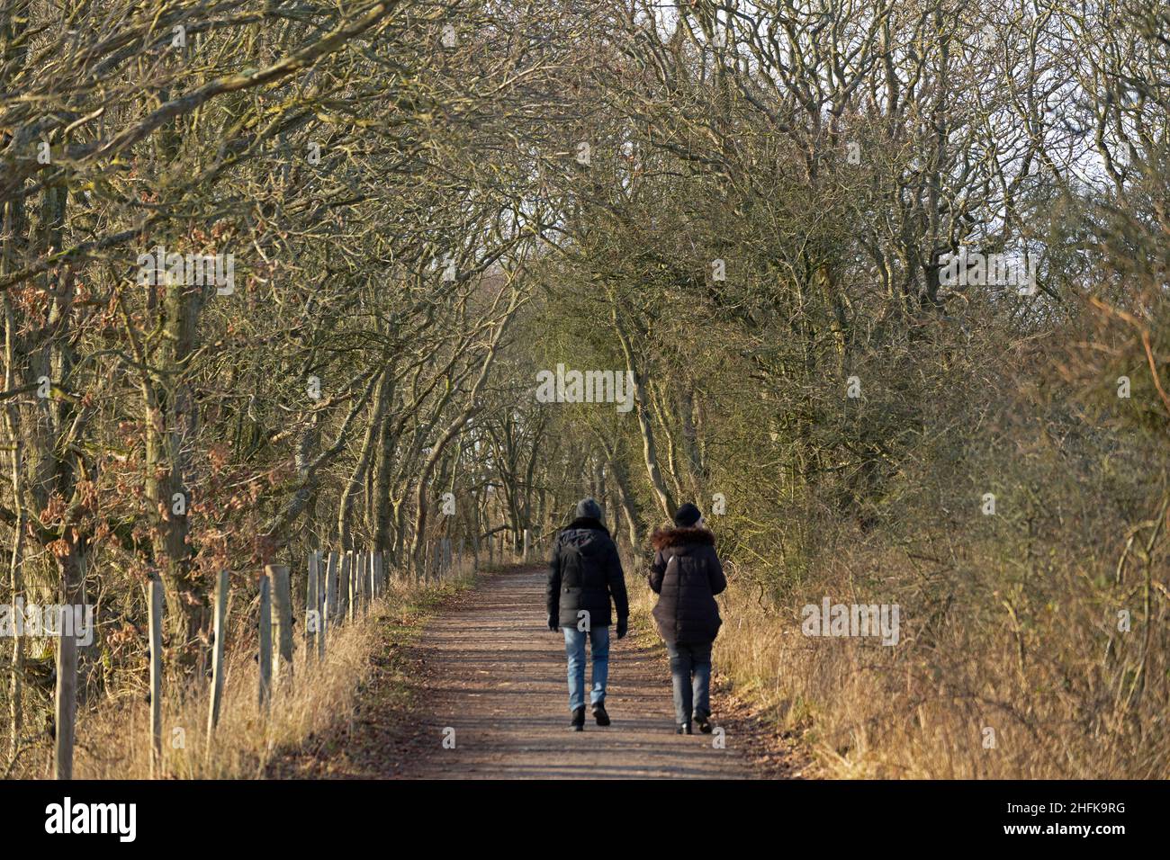 People walking, Nature reserve Geltinger Birk, Falshöft, Schleswig-Holstein, Germany Stock Photo
