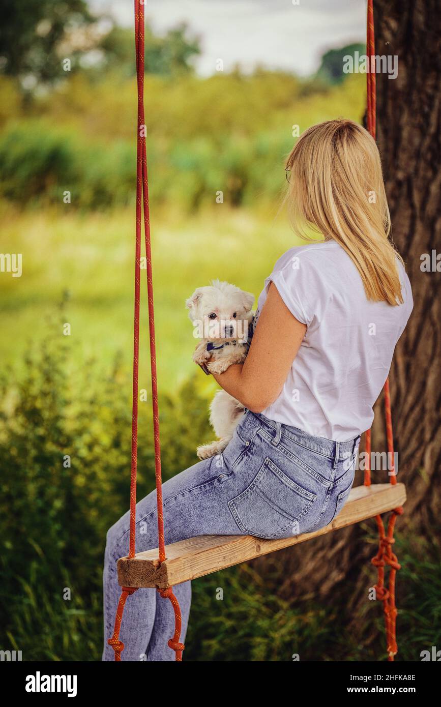 Young woman with a white dog on a tree swing. Stock Photo