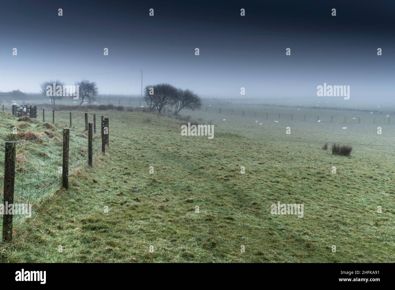 Grazing land on a bleak misty Bodmin Moor in Cornwall. Stock Photo