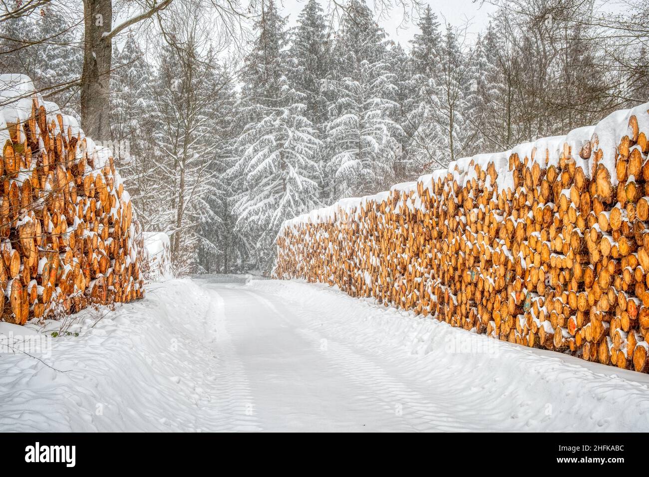 nachwachsender Rohstoff Holzpolter im verschneiten Winterwald Stock Photo