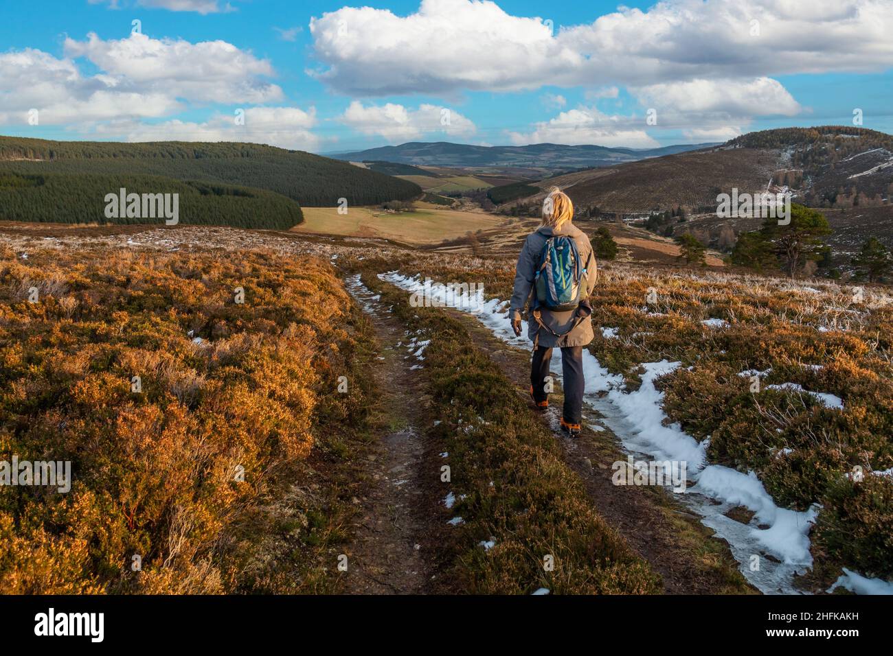 A walker on a walk in the Correen Hills near Alford, Aberdeenshire, Scotland Stock Photo
