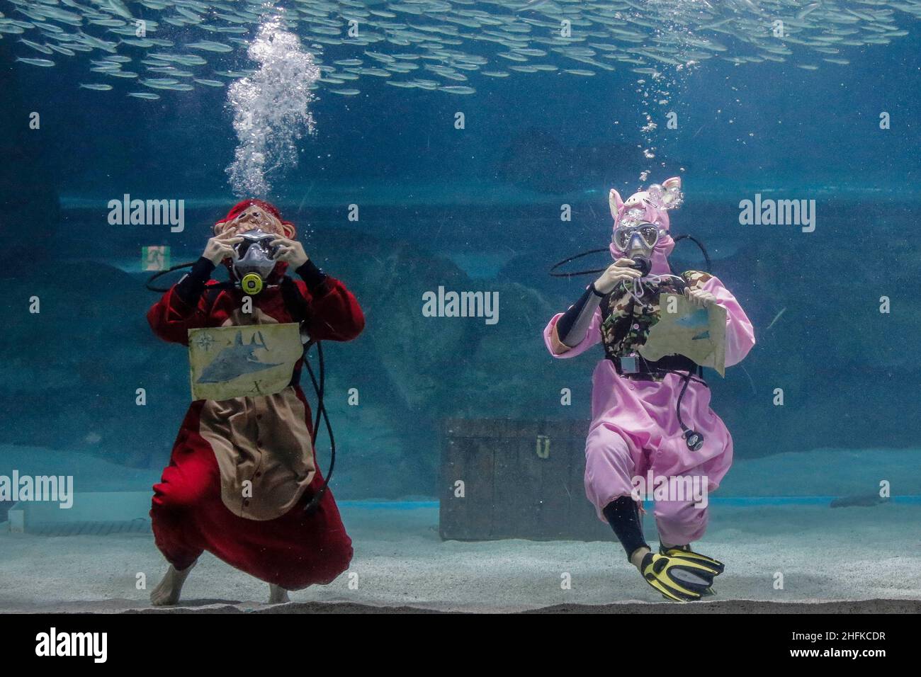 Aquarium divers performs under water for Chinese Lunar New Year