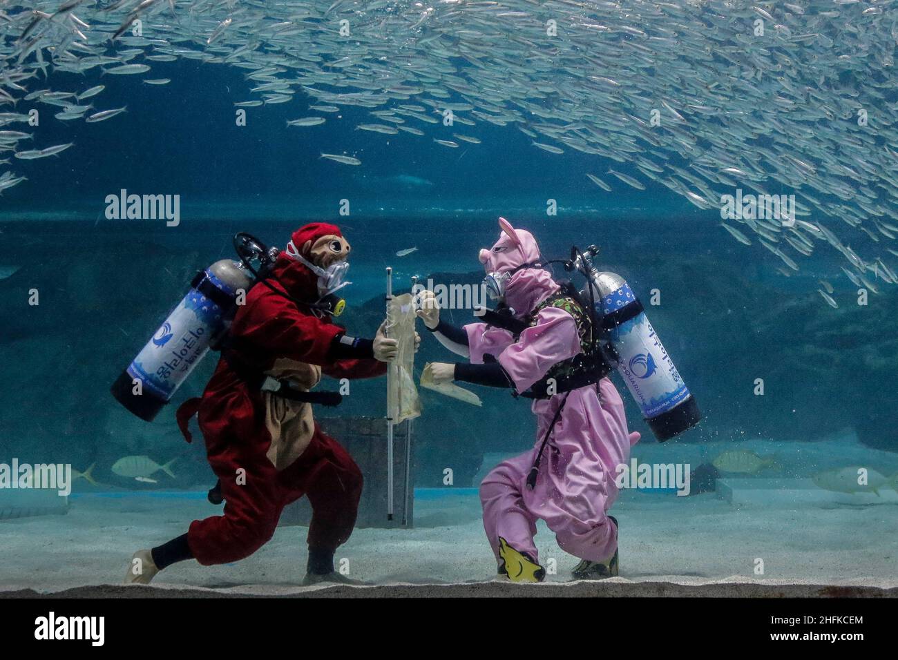 Aquarium divers performs under water for Chinese Lunar New Year