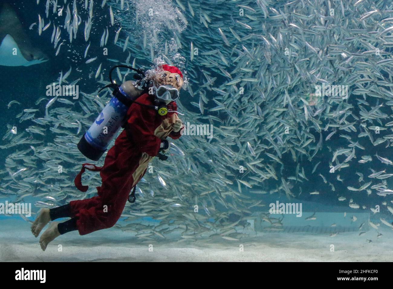 Aquarium divers performs under water for Chinese Lunar New Year
