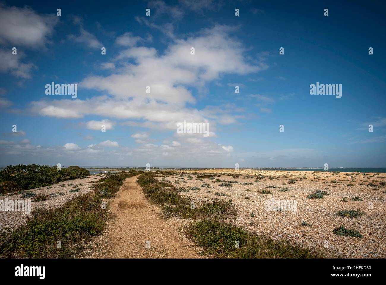 The beach on the Selsey side of Pagham Harbour, West Sussex, UK Stock Photo